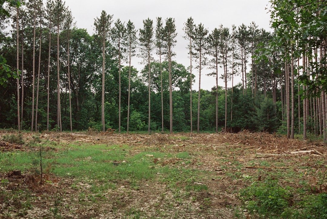 Fastest way to sell land in Texas